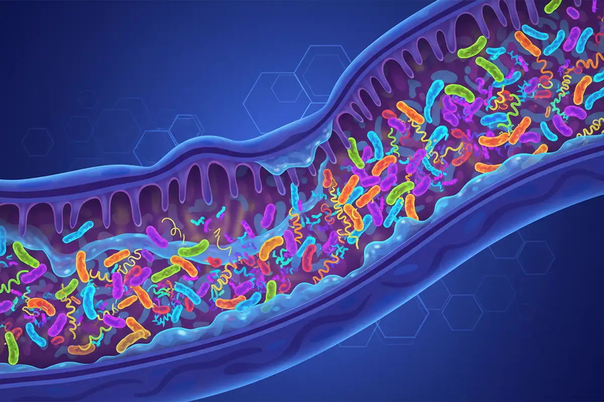 Darmgesundheit zwischen Wissenschaft und Hype: Was wirklich hilft