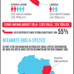 Ebola-2014-infografik